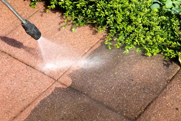 Best Roof Power Washing Services  in Sam Rayburn, TX